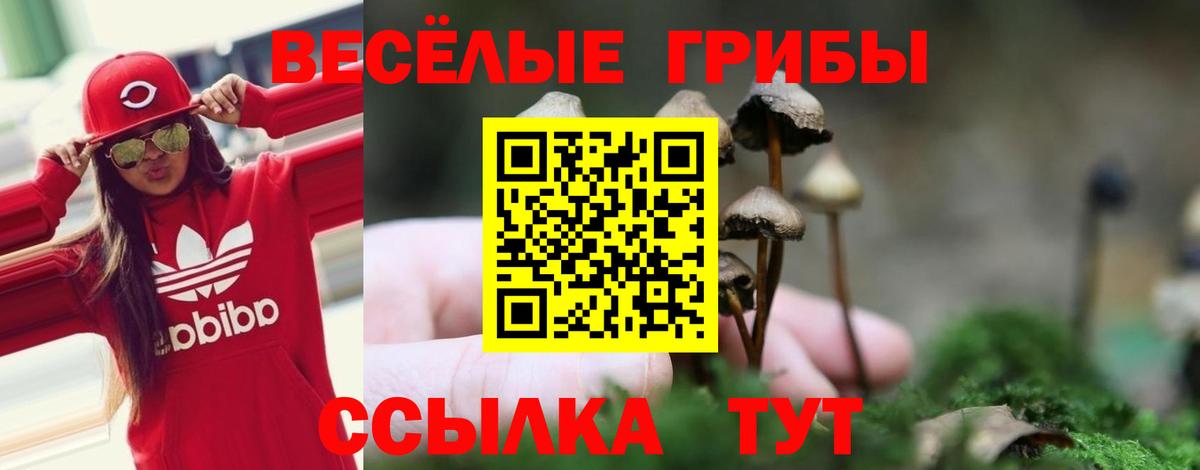 Галлюциногенные грибы ЛСД  Вход с VPN  Галлюциногенные грибы ЛСД  Валуйки 